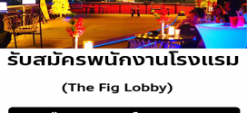 รับสมัครพนักงานโรงแรม The Fig Lobby