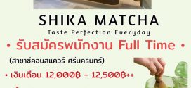 รับสมัครพนักงานร้านชา Shika Matcha