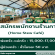 รับสมัครพนักงานประจำร้าน Home Stew Cafe