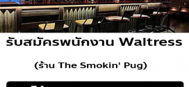 รับสมัครพนักงาน Waitress ร้าน The Smokin’ Pug