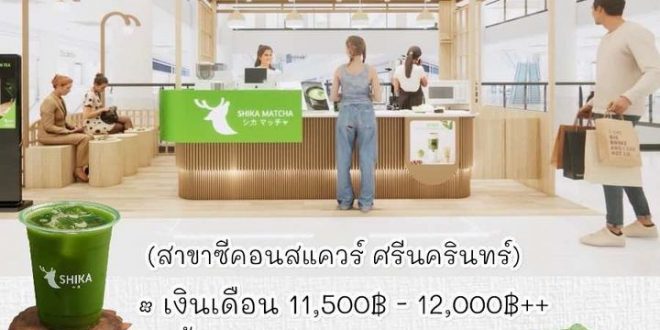 รับสมัครพนักงานร้านชา Shika Matcha