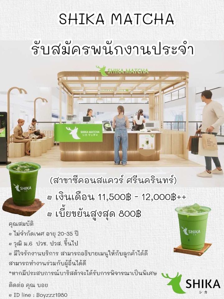 รับสมัครพนักงานร้านชา Shika Matcha