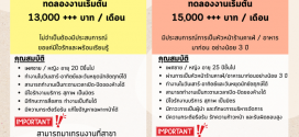 รับสมัครพนักงานร้านขนมปัง THE VOLCANO