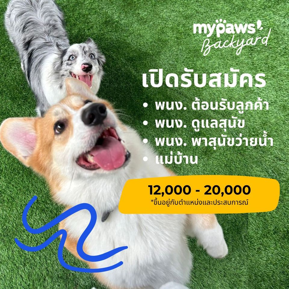 รับสมัครพนักงานโครงการ My Paws’ Backyard