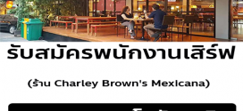 รับสมัครพนักงานเสิร์ฟ ร้าน Charley Brown’s Mexicana