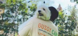 รับสมัครพนักงานประจำร้าน GUSSY CAMP