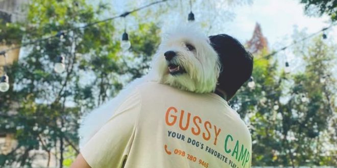 รับสมัครพนักงานประจำร้าน GUSSY CAMP