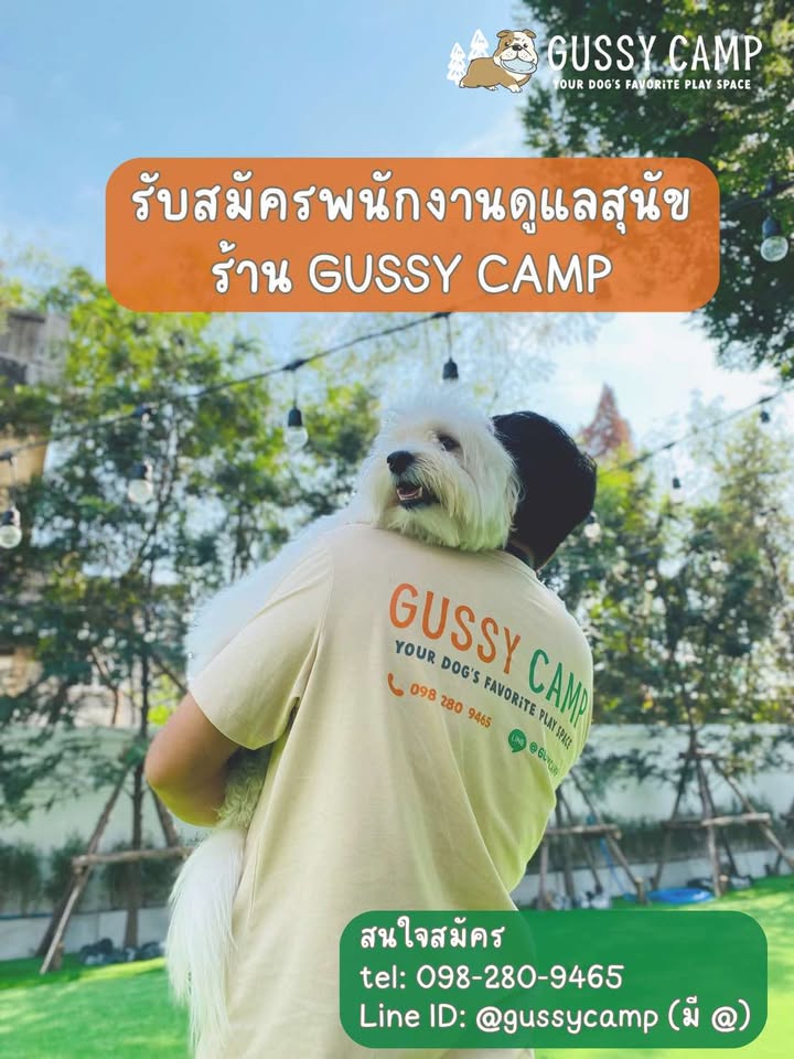 รับสมัครพนักงานประจำร้าน GUSSY CAMP