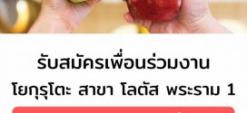 รับสมัครพนักงานร้านเครื่องดื่ม Yoguruto (สาขา โลตัสพระราม 1)